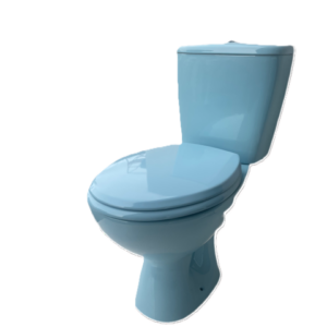 Close Couple Toilet – Blue Design