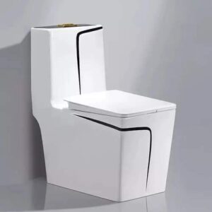 One Piece Toilet